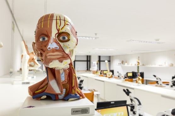 Laboratório do curso de medicina